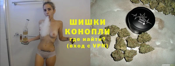 PSILOCYBIN Новозыбков