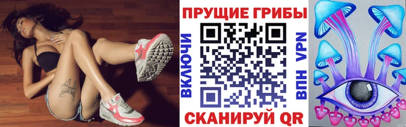 Галлюциногенные грибы Psilocybe  мориарти клад  Махачкала 