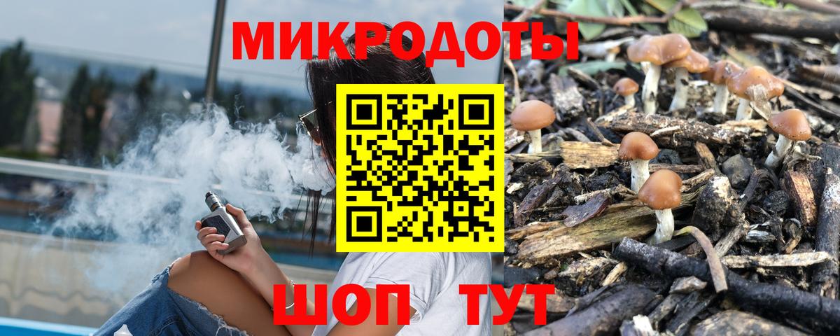 A PVP Махачкала