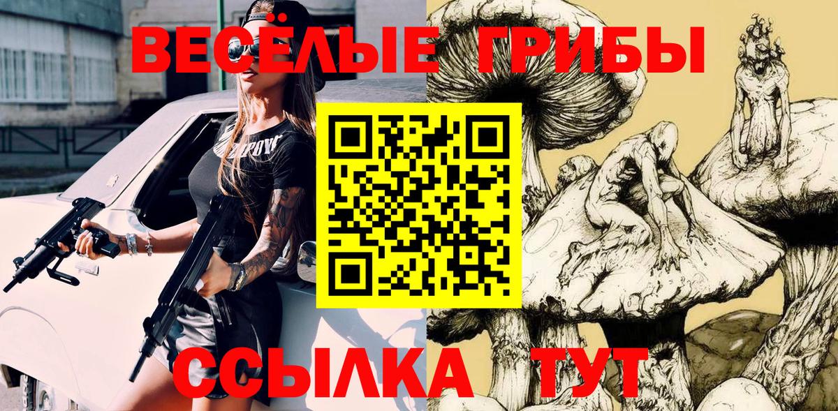 Псилоцибиновые грибы MAGIC MUSHROOMS  Вход с VPN  Махачкала 